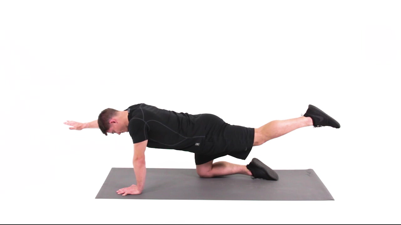 Bird Dog - Leg Slide with lift and opposite arm lift