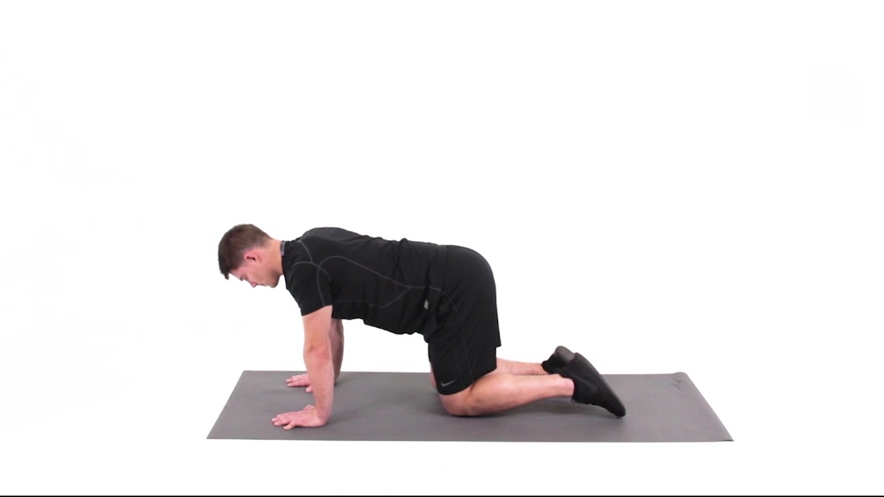 https://www.functionalmovement.com/exercises/image/28794