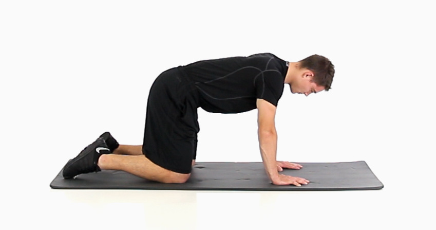 https://www.functionalmovement.com/articles/759/the_finer_points_of_the_quadruped_position