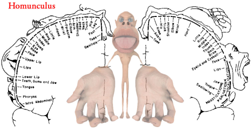 Why Grip Strength Matters and Also the Method to create It